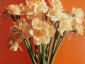Narcissus small