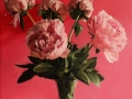 Peonies small